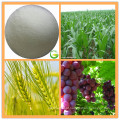 EDTA Calcium Fertilizer / EDTA